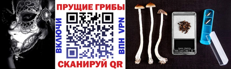 Галлюциногенные грибы прущие грибы Котельниково